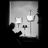 Avid Reader