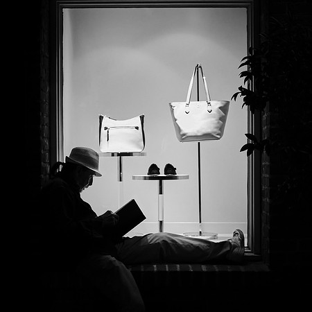 Avid Reader
