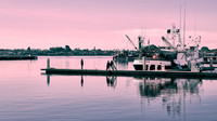 San Diego Marina Jan 2021