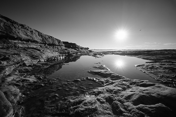 La Jolla Tidepool Nov 2019