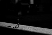 Through the Light